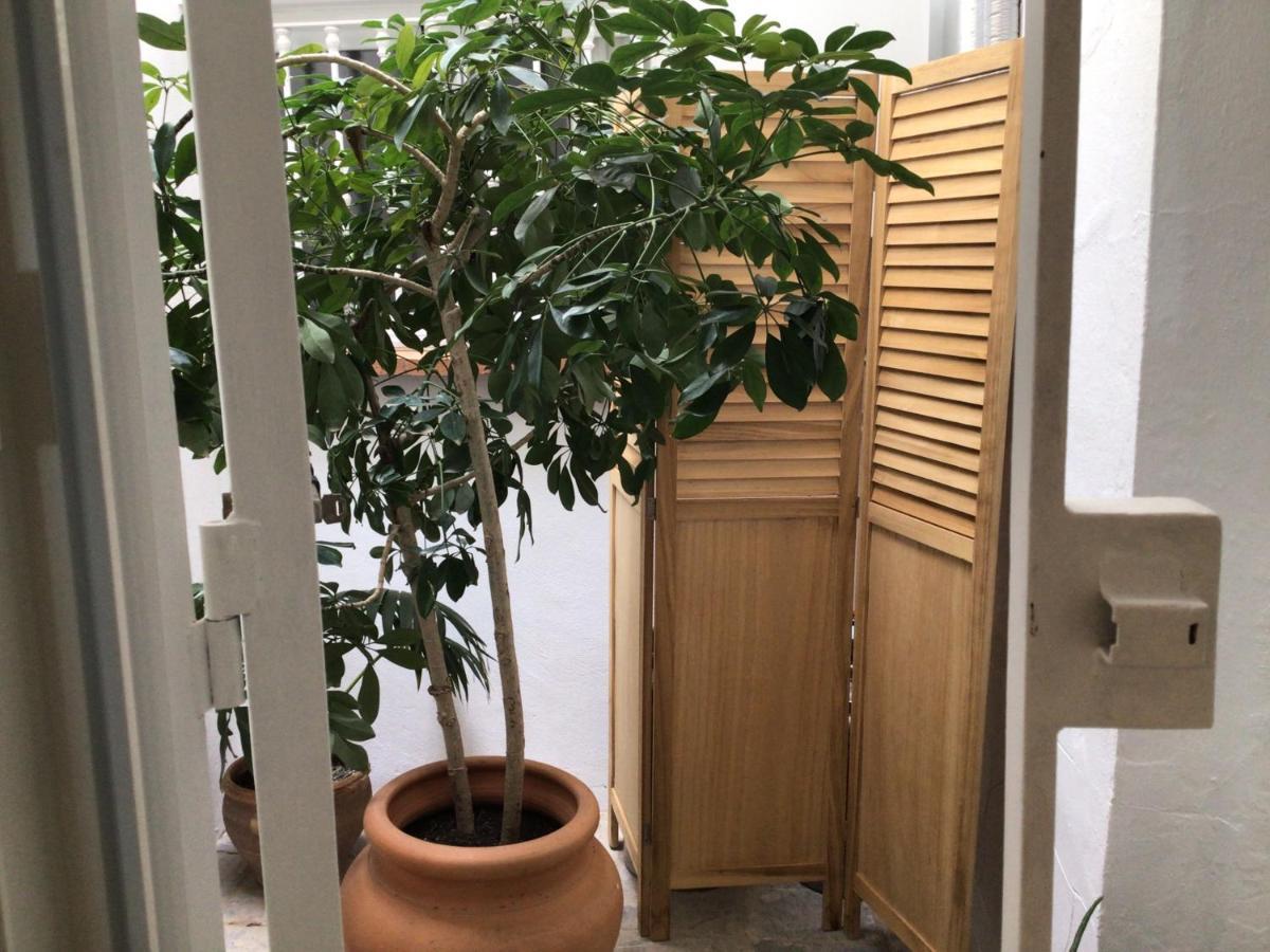 Apartmán Santo Domingo - Centro Sanlúcar de Barrameda Exteriér fotografie